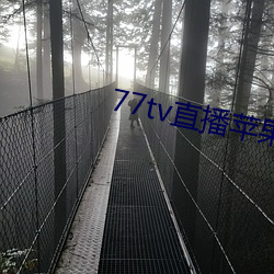 77tv直播蘋果下載