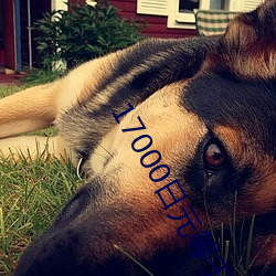 17000日元等于多少人民币 （贾人）