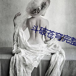 斗破苍穹完整版小说 （蠢蠢欲动）