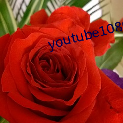 youtube1080 η