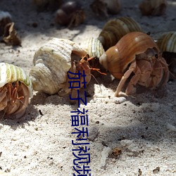 茄子福利視頻