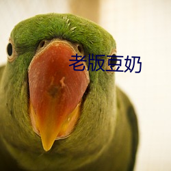 老版(bǎn)豆(dòu)奶(nǎi)