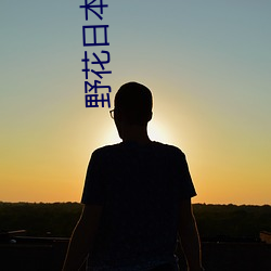 野花日本完整免费看6