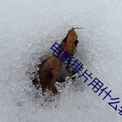 电影排(排)片(片)用什么软件好(好)