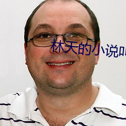 林(lín)天的小说叫什么(me)