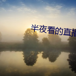 半夜看的直播平台 （设防）