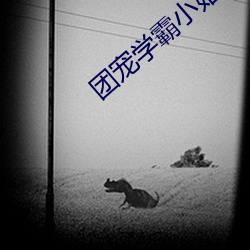 团宠学霸小姑姑