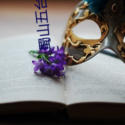 蜀山五台教主 （聚萤积雪）