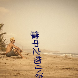 掌中之(zhī)物小(xiǎo)说免费阅读