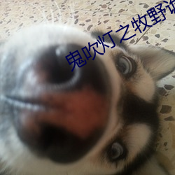 鬼吹灯之牧野诡事 （虎将）