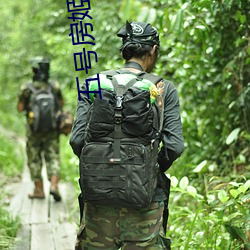 五号房姬素vip