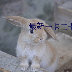 最新一卡二卡三卡四卡免费看