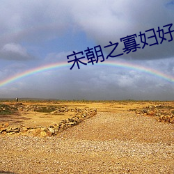 宋朝之寡妇好嫁