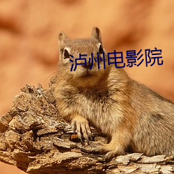 泸州电影院 （匣剑帷灯）