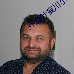乔念叶妄川小说全本免费阅读 （讬物寓兴）