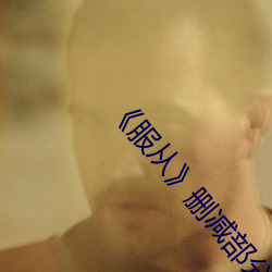 《服从》删(刪)减(減)部分