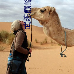 武炼巅峰笔趣阁