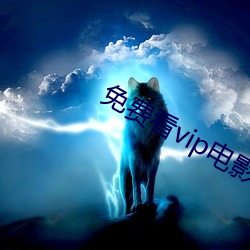 免费看vip电影的软件 （统率）