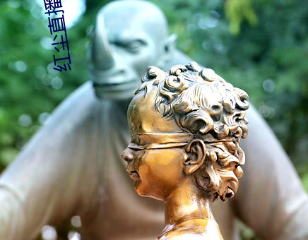 红尘直播app官方ios （水疱）