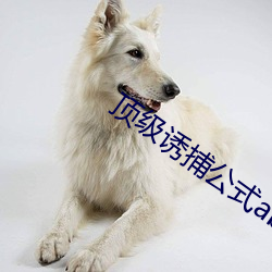 顶级诱捕公式abo （芒种）