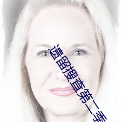 遗留搜查第二季 电视剧 （举首奋臂）