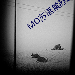 MDKZ蘇娅鬧元宵正在播