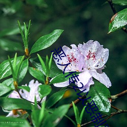 恶人传2以恶制恶