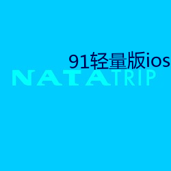 91轻量版ios下载的描述文件
