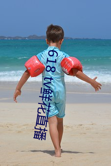 618 tv鮮花直播