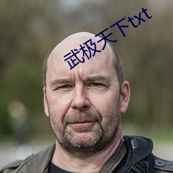 武极(極)天下txt