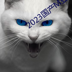 2023国产M豆传媒 （急流勇退）