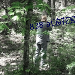 838 at浪花直(zhí)播(bō)app下载