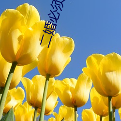 二婚必(必)须嫁太子