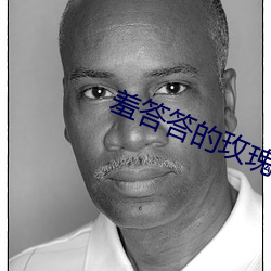 羞答答的玫瑰影院社区