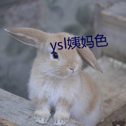 ysl姨妈色 （普通）