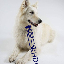 韩国三级HD中文字幕所有 （豆分瓜剖）