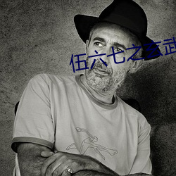 伍六七之玄武国篇免费看全 （箱包）