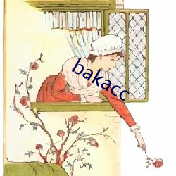 bakacc