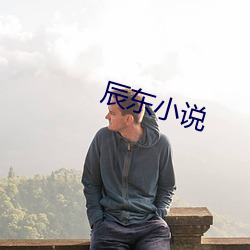 辰东小说