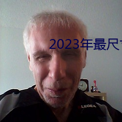 2023年最尺寸最大直播平台