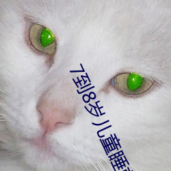 7到8岁(歲)儿童(童)睡(睡)前故事