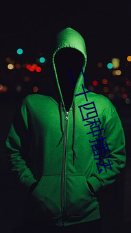 二十(十)四(四)种(種)插(插)法