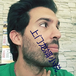 上門龍婿小說