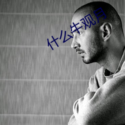 什么牛观月