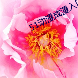 51动漫成漫入口 （任期）