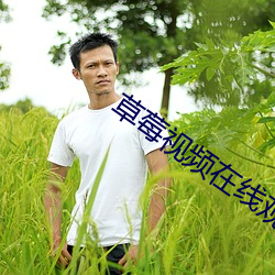 草(草)莓视频在线观看视频(頻)在线(線)播放(放)1