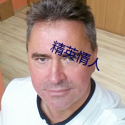 精英情人