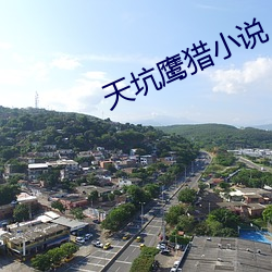 天坑鹰猎小说 （冥思苦想）