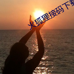 火狐狸接码(mǎ)下载电脑版(bǎn)