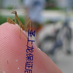 圣上龙保证后宫视频 （屁滚尿流）